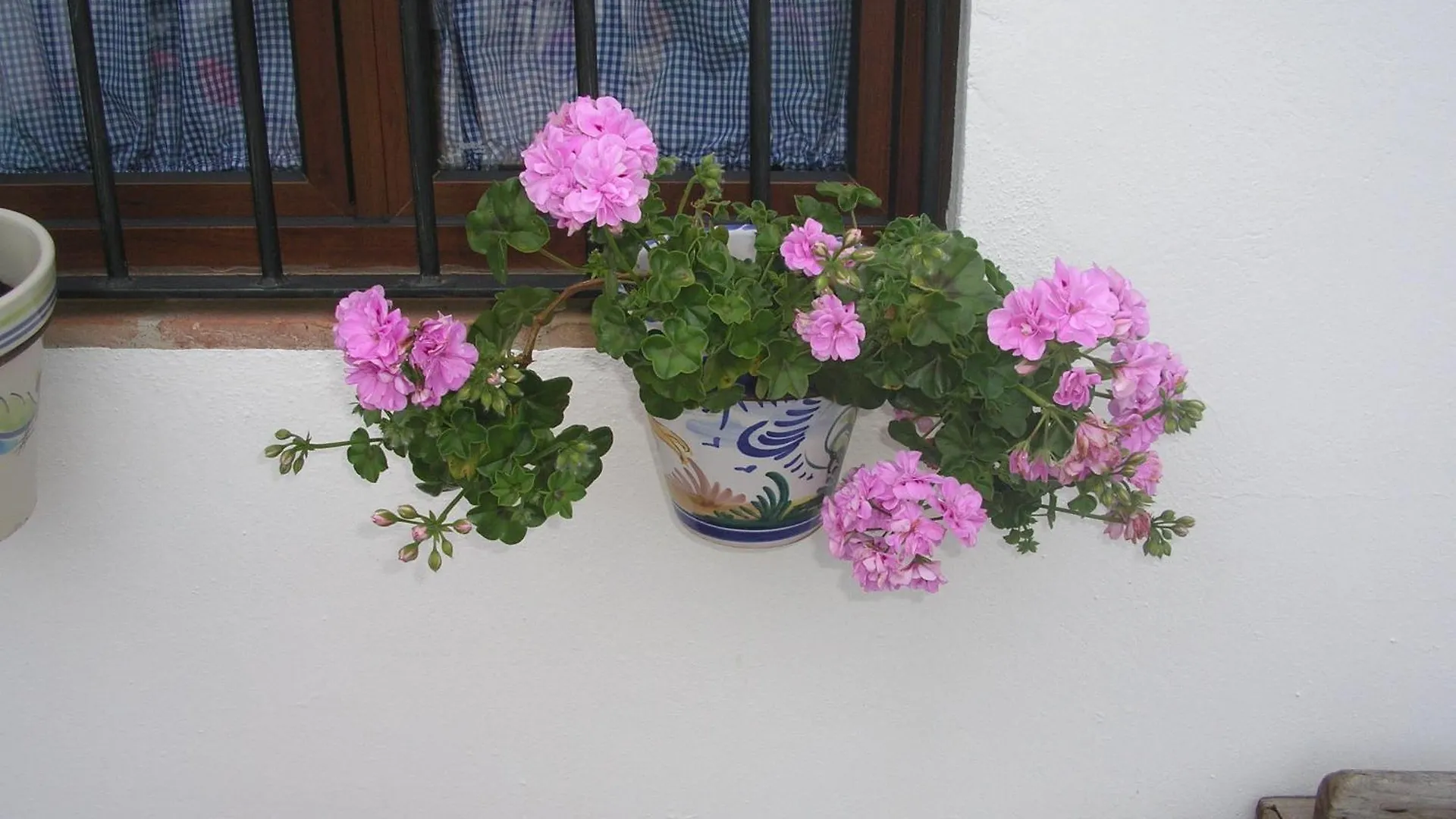 Casa Rural y Restaurante Casa Adriano Hostal Alanís