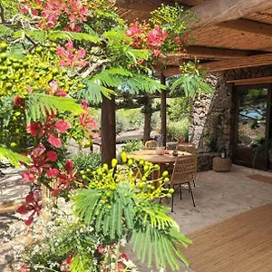 https://la-finquita.puertodelcarmen-hotels.org